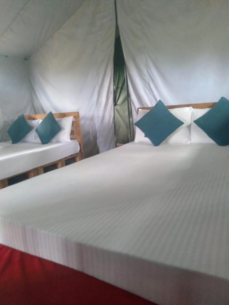 Hotel Ella Glamping Zewnętrze zdjęcie