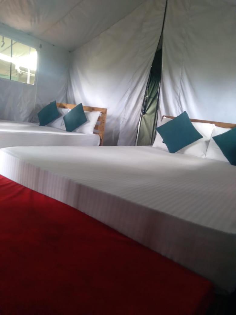 Hotel Ella Glamping Zewnętrze zdjęcie