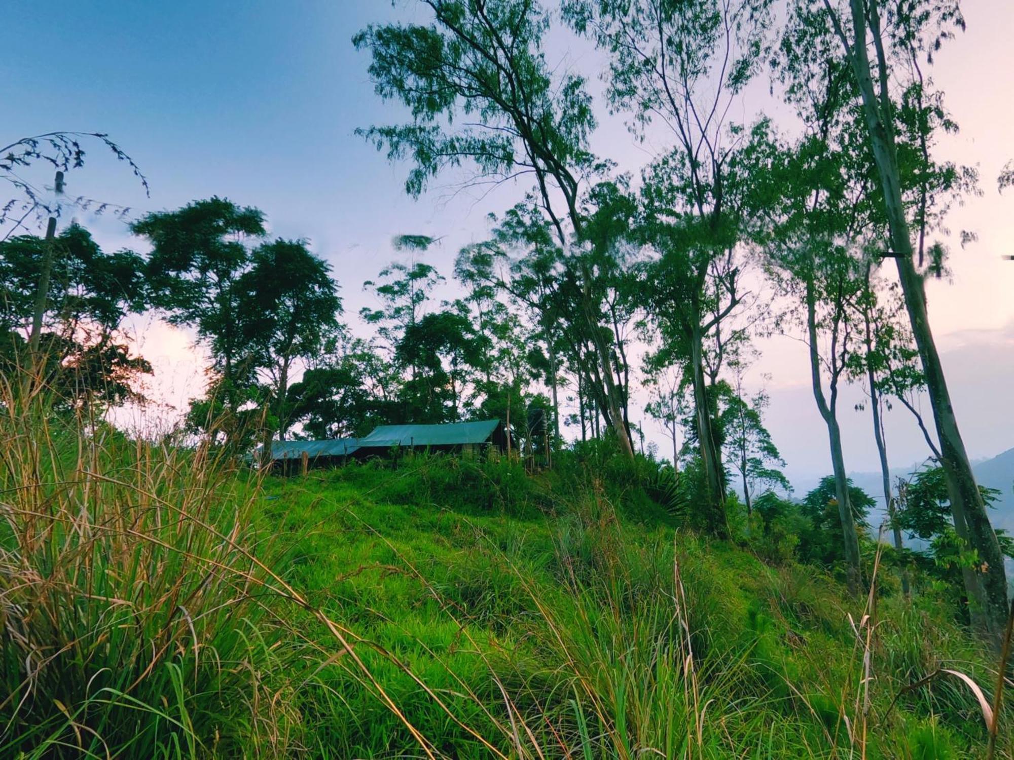 Hotel Ella Glamping Zewnętrze zdjęcie