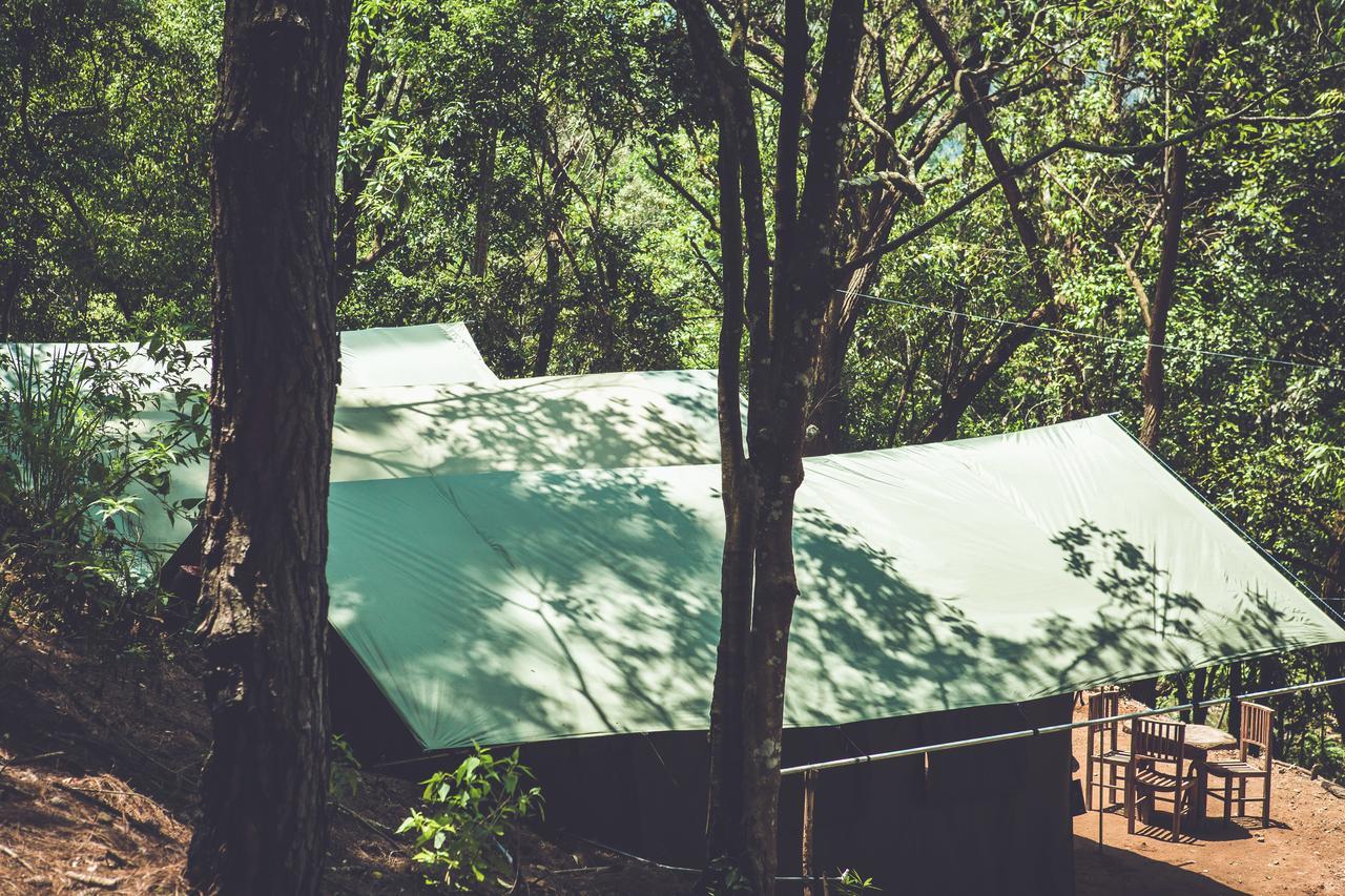 Hotel Ella Glamping Zewnętrze zdjęcie