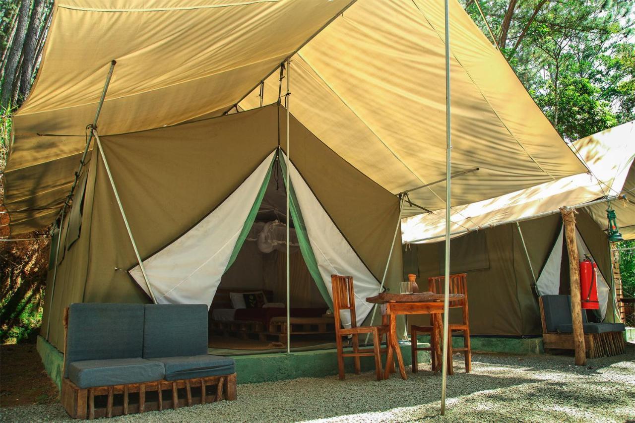 Hotel Ella Glamping Zewnętrze zdjęcie